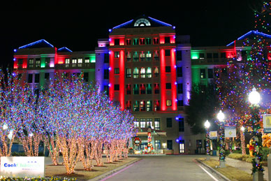 Tips to Find a Quality Christmas Lighting Design Service