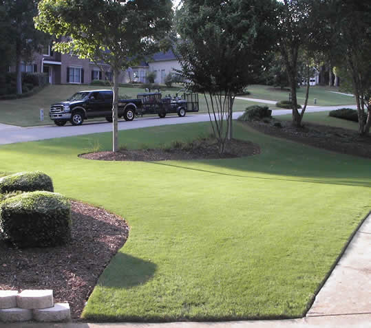 Your Lawn in Alpharetta Deserves the Best Care