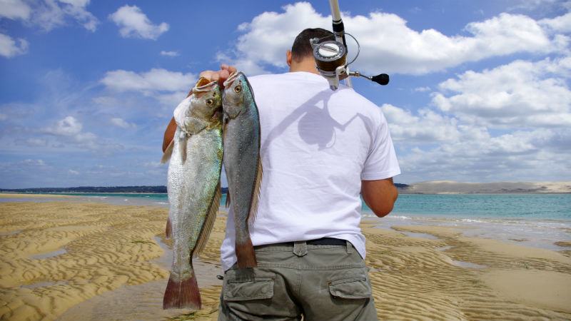 Experience the Thrill: Delta Fishing Charters in Oakley, CA, for the Ultimate Striper & Sturgeon Adventure