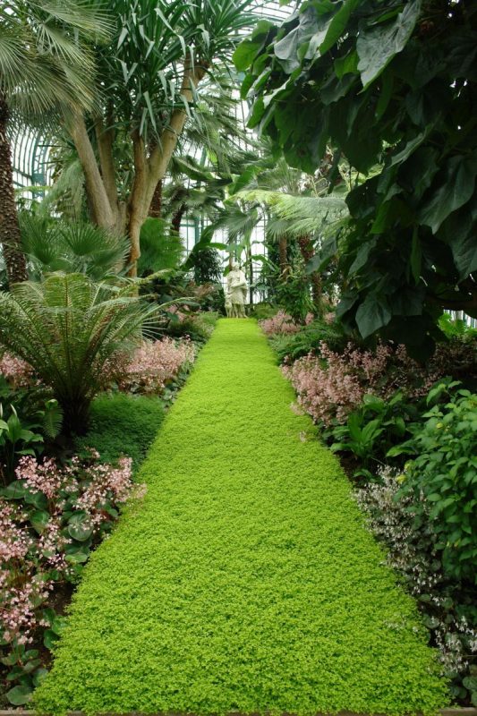 Synthetic Grass in Miami, FL is Perfect for Those Who Don’t Love Lawn Maintenance