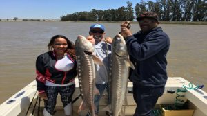 Why Going on a Chartered Fishing Trip Can Be a Great Idea in Oakley, CA