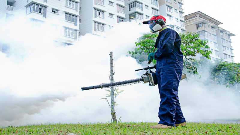 Why Termite Control Is Crucial in Your Fort Myers, FL home