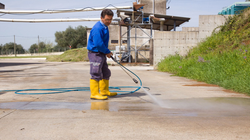 Benefits of Hiring Professional Cleaners for Your Roof in Florida