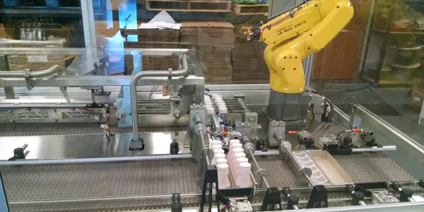 Benefits of Installing a Robotic Palletizing System in Your Company