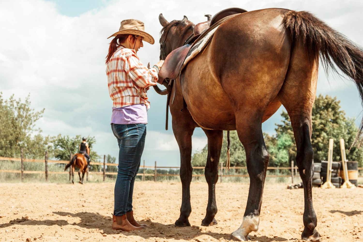 Guide to Understanding the Best Way to Train a Horse