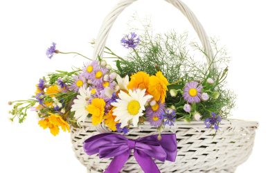 Birthday Flowers Delivery in Erie, CO: A Guide for Choosing the Perfect Bouquet