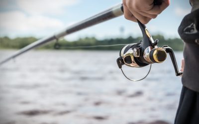 Why You Should Consider Purchasing Electric Fishing Reels in Fort Lauderdale, FL