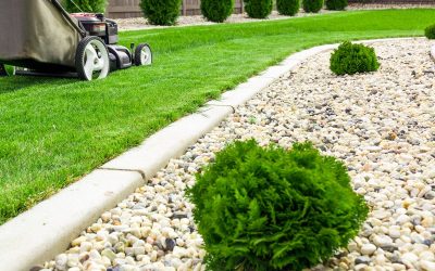 Get Expert Help with a Lawn Care Services in Barrington to Make Your Property Look Amazing