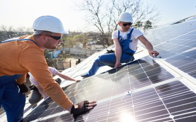 Why Do Households and Businesses Like Solar Panels? 4 Reasons to Help You Understand