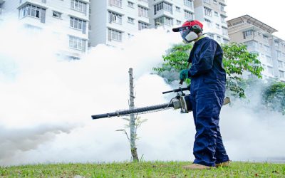 Expert Exterminator Tips for Effective Mosquito Control in Naples FL