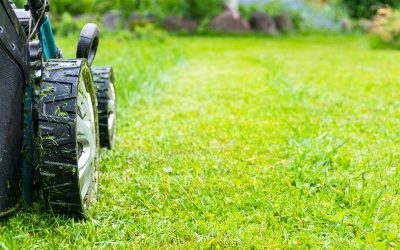 Mowers in Toowoomba: A Comprehensive Guide to Choosing And Maintaining Lawn Equipment